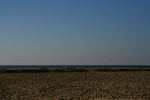 IMG_2226.jpg