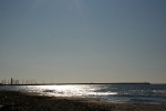 IMG_2237.jpg