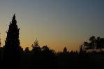 IMG_2099.jpg