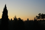 IMG_2100.jpg