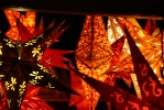IMG_2114.jpg