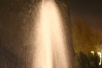 IMG_2145.jpg