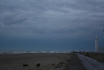 IMG_2060.jpg