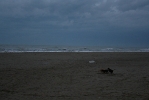 IMG_2061.jpg