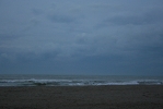 IMG_2062.jpg