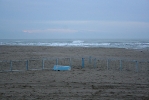 IMG_2064.jpg