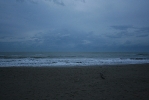 IMG_2068.jpg
