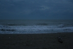 IMG_2069.jpg