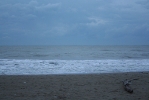 IMG_2070.jpg