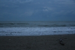IMG_2071.jpg