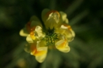 IMG_2048.jpg