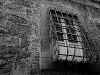 img_2629091209