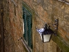 img_2646091209