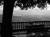 img_2670091209